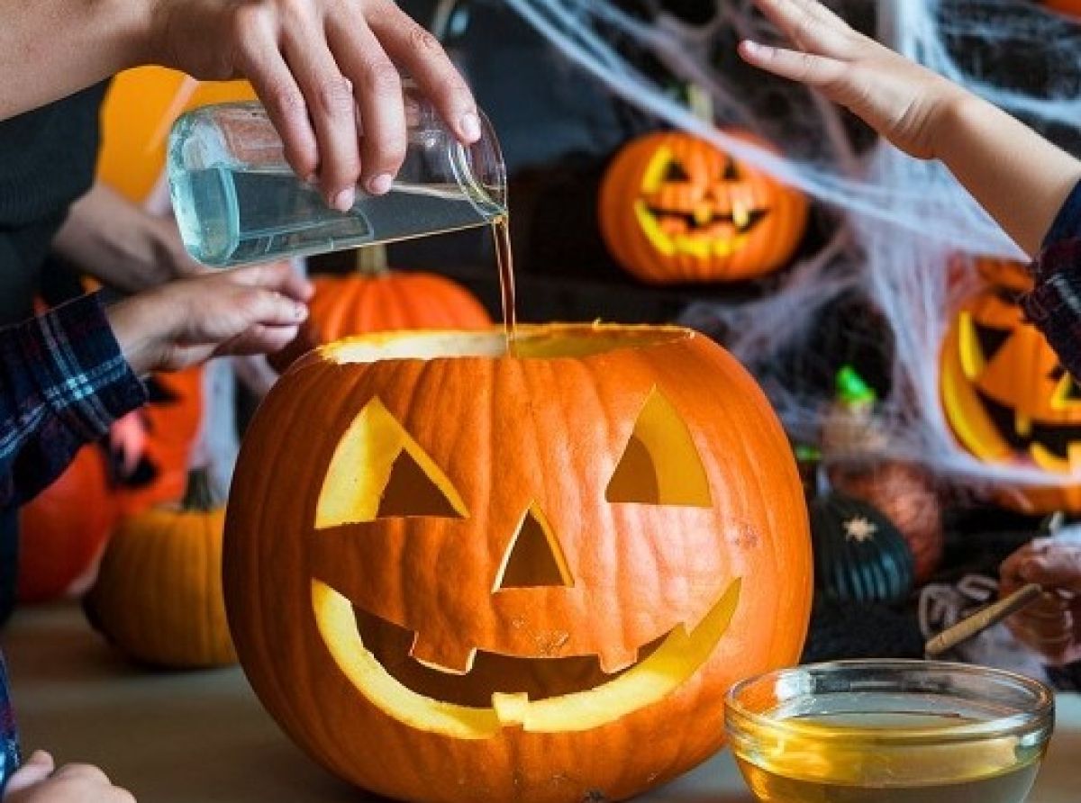 Property expert reveals three easy ways to keep your pumpkin pest-free this Halloween - including a 35p cupboard item